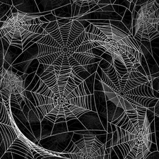Spider Webs 25 - 18"x46" Hydrographic Film Hydro Dipping