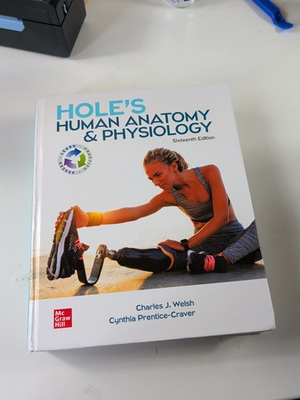 #ad #ad Hole#x27;s Human Hardcover by Welsh Charles; Prentice Craver $69.99