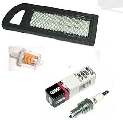 Briggs & Stratton I/C OHV 21er Motoren (10,5-16 PS) Rasenmäher Service Kit