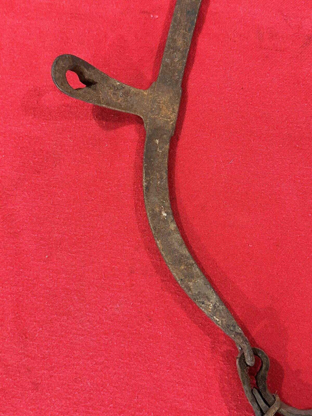 Picture 11 of 24