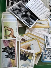 10 x Dogs/puppies/k9/canine Cigarette/tobacco Cards Random Lot 1920’s-30’s