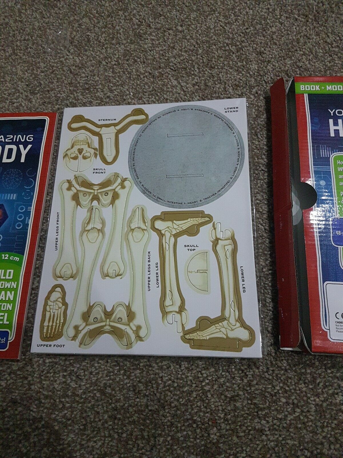 Picture 4 of 5