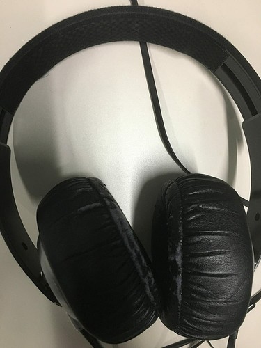 Sony MDR-XB500 Headphones Extra Bass Headband for Audio Sound [4-136 | eBay