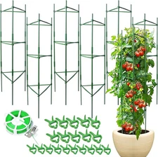 6 Pack Tomato Cage for Garden & Pots, Rust-Resistant Tomato Stakes Plant Cage Tr