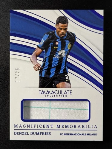 2023 Panini Denzel Dumfries RAW