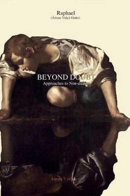 Beyond Doubt Approaches to Non-duality Raphael Taschenbuch Englisch 2013