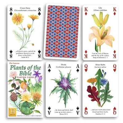 Pflanzen der Bibel Spielkarten - 54 verschiedene Pflanzen