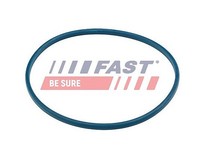 Fast Dichtung, KraftstoffeinfüLlstutzen U.A. FüR Alfa Romeo, CitroËN, Fiat