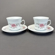 Mitterteich Bavaria Cup and Saucer Set of 2 Pink Flowers Springtime MIT71