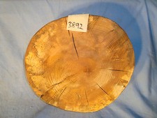 spalted maple log slice live edge slab lumber turning wood 11 3/4"L10 1/4"W 3"T