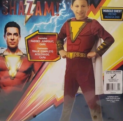 DC Shazam! Rubies Halloween Superhero Muscle Chest Custome Sz 12-14 Large