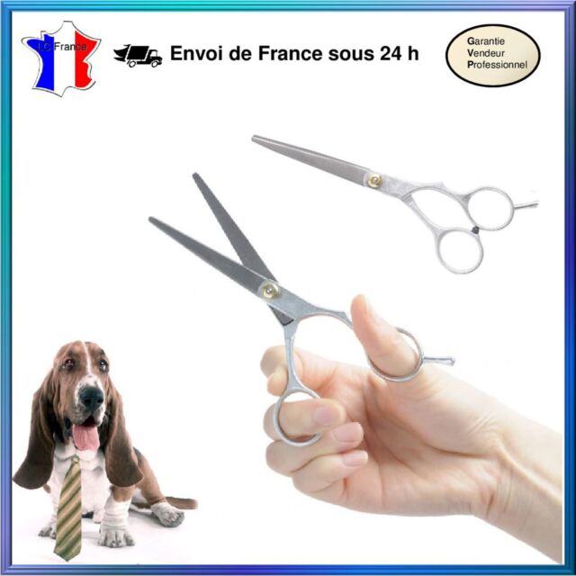 Ciseaux plats pour Animaux Ciseaux coupe pelage chien chat Ciseaux plats pour Animaux Ciseaux coupe pelage chien chat