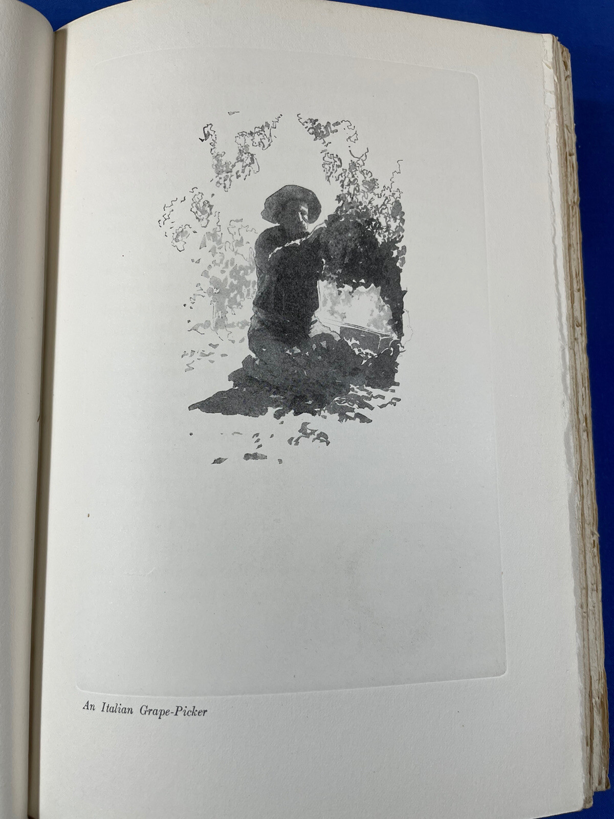 Picture 5 of 10
