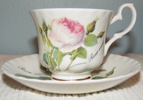 Roy Kirkham England Redoute’ Rose Fine Bone China Tea Cup & Saucer Set 1996 - Picture 1 of 8