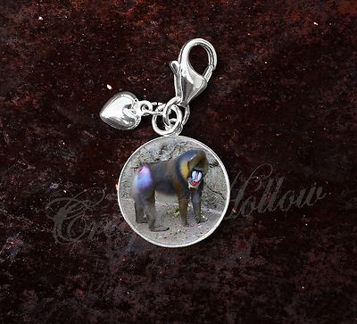 925 Sterling Silver Charm Mandrill Baboon Old World monkey