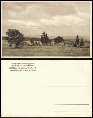 Ansichtskarte Geyer Umland-Ansicht Hermannsdorfer Wiesen bei Geyer 1920