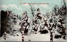 1912 Kewaunee WI Winter Scene Snow-Covered Trees Vintage Postcard