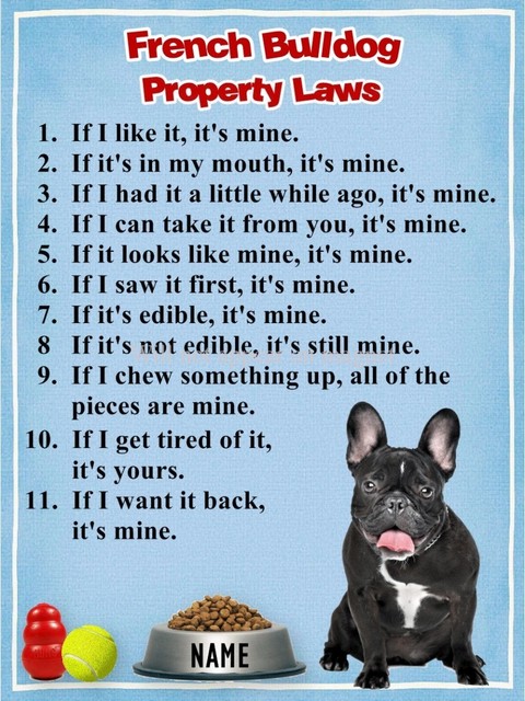 French Bulldog Property Laws Magnet Personalized With Your ...