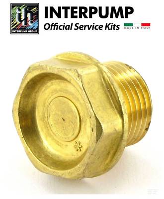 OEM Interpump General Pump 9.822-200.0 47 Series Valve Cap, 98222000 Italy