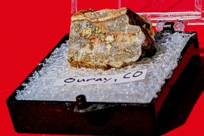Rich Gold Ore Specimen from Ouray Colorado   White Quartz Matrix, Visible Gold