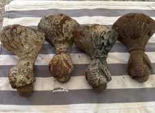 (4) Adjustable /Leveling Antique Clawfoot Cast Iron Tub Bath Feet Furniture