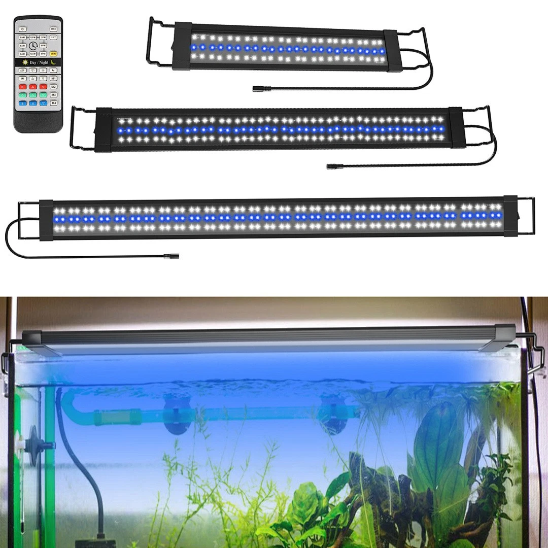 Schwimmtier Schildkröte Zstar Schildkröten-Aquari Produktbild-Vorschau 2