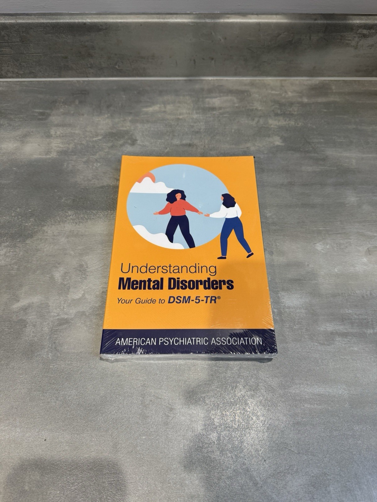Understanding Mental Disorders Guide To DSM-5-TR 9781615375219 New