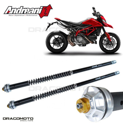 DUCATI Hypermotard 950 / SP / RVE 2019-2023 cartridge ANDREANI 105/D39E MISAN...