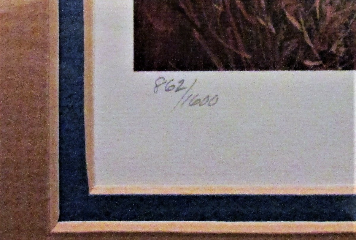 NWTF 1978 Turkey Stamp Print Intermedia by Richard Amundsen Signed