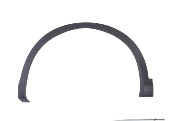 Left Front BLIC 5703-08-1617377P Trim/Protection Strip, wing for NISSAN