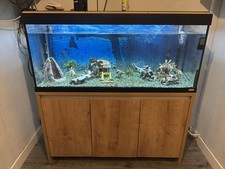 Fluval Roma 240 complete aquarium set up including Fluval 307 external filter