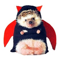 Hedgehog Costume Devil Small Animal Polar M 400-500g , Black