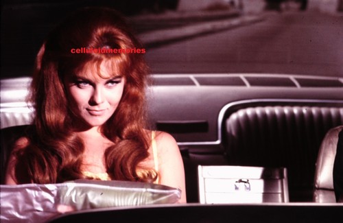 Original 35mm Slide Murderers' Row Ann Margret SEXY 1966 # 1836