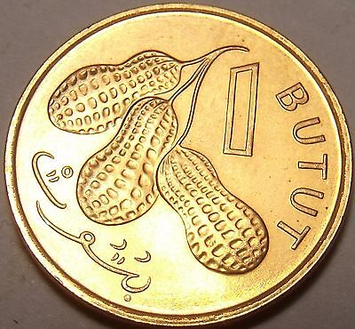 GAMBIA SET 6 COINS 1 5 10 25 50 BUTUT 1 DALASI 1998-2014 UNC