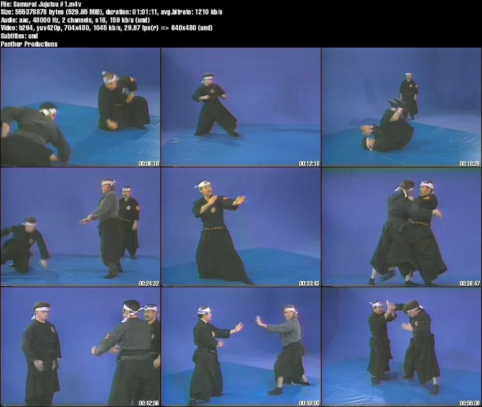 Home Study Course - Samurai Jujutsu Mastery (DVDs + Certificates) - Image 3 of 4