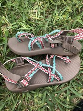 dolman pine chacos