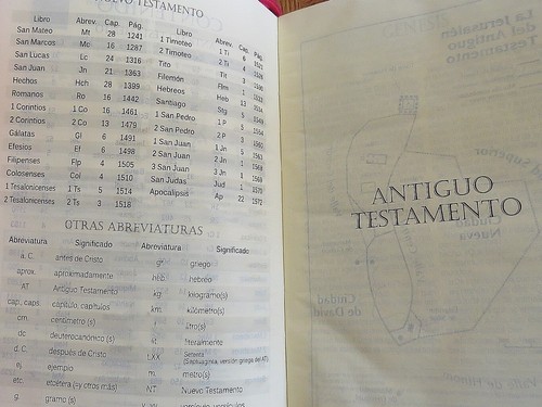 Holy Bible in SPANISH with Deuterocanonicals FUCHSIA ZIPPER 2000 dios habla hoy - Foto 7 di 10