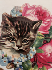 Anna Griffin Feline Card Toppers Kit