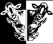 Two Farm Animals Peeking Cow Donkey Duck Vinyl Decals Car Truck Van Door window