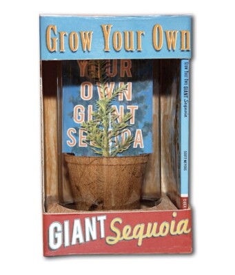 The Grow Your Own Giant Sequoia Kit +Book By Scott Meyer Rare Kit No Longer Sold