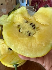 20 Lemon drop watermelon seeds