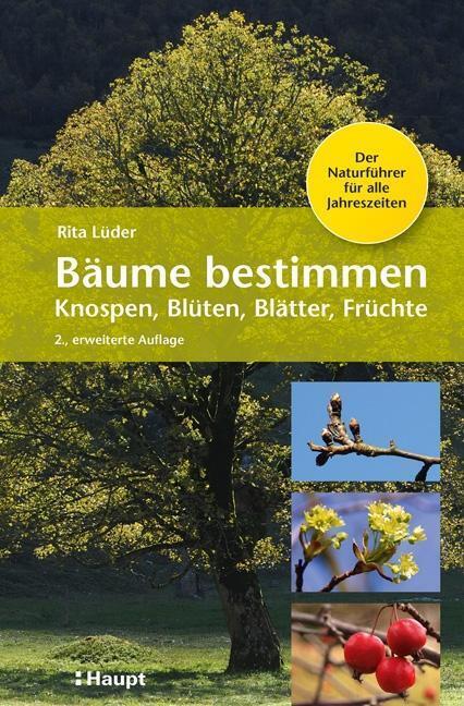 Thumbnail - Bäume Bestimmen - Knospen, Blüten, Blätter, Früchte - Rita Lüder -