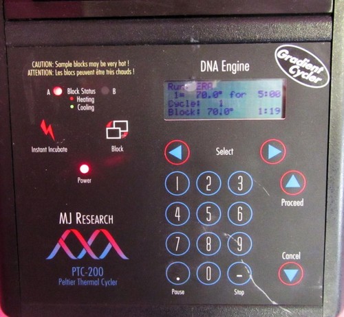 Ciclador térmico MJ Research Bio-Rad PTC 200 DNA 96 pozos Peltier PCR - Imagen 6 de 22