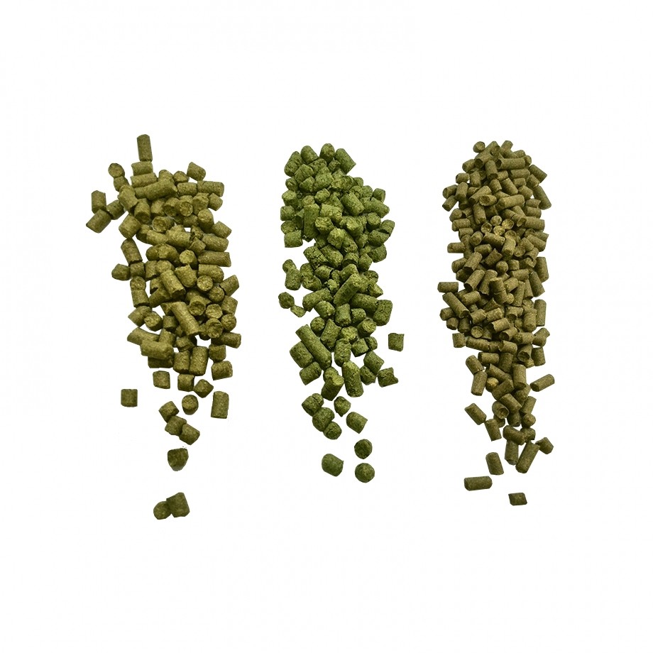 100g Foil Vacuum Packed Hop Pellets - Goldings - For Homebrew Beer