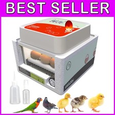 Ideal 12 Egg Incubator for Hatching Chicken  Duck Eggs