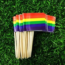 100 Pieces Toothpick Flags Cheese Markers for Cheeseplate Appetizers Sandwiches