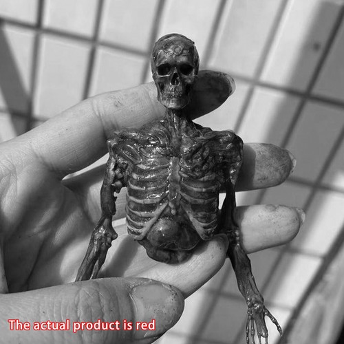 1/6 Scale Human Skeleton Half-body Flesh Blood Skeleton Model AccessoryGn - Picture 10 of 21