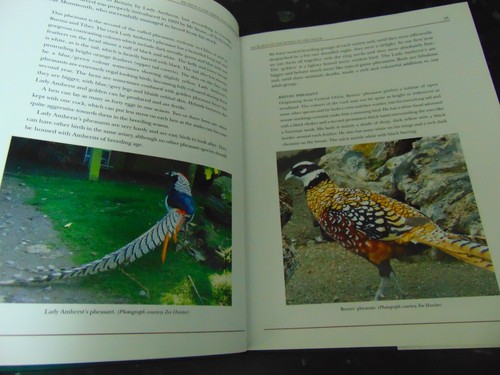 REARING GAME BIRDS & GAMEKEEPING: Pheasants & Partridges - Beth Williams 2013 HB - Picture 6 of 9
