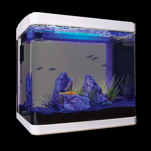aquarium for sale