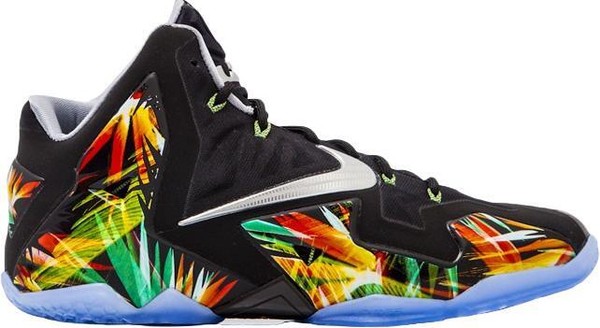 everglades lebron